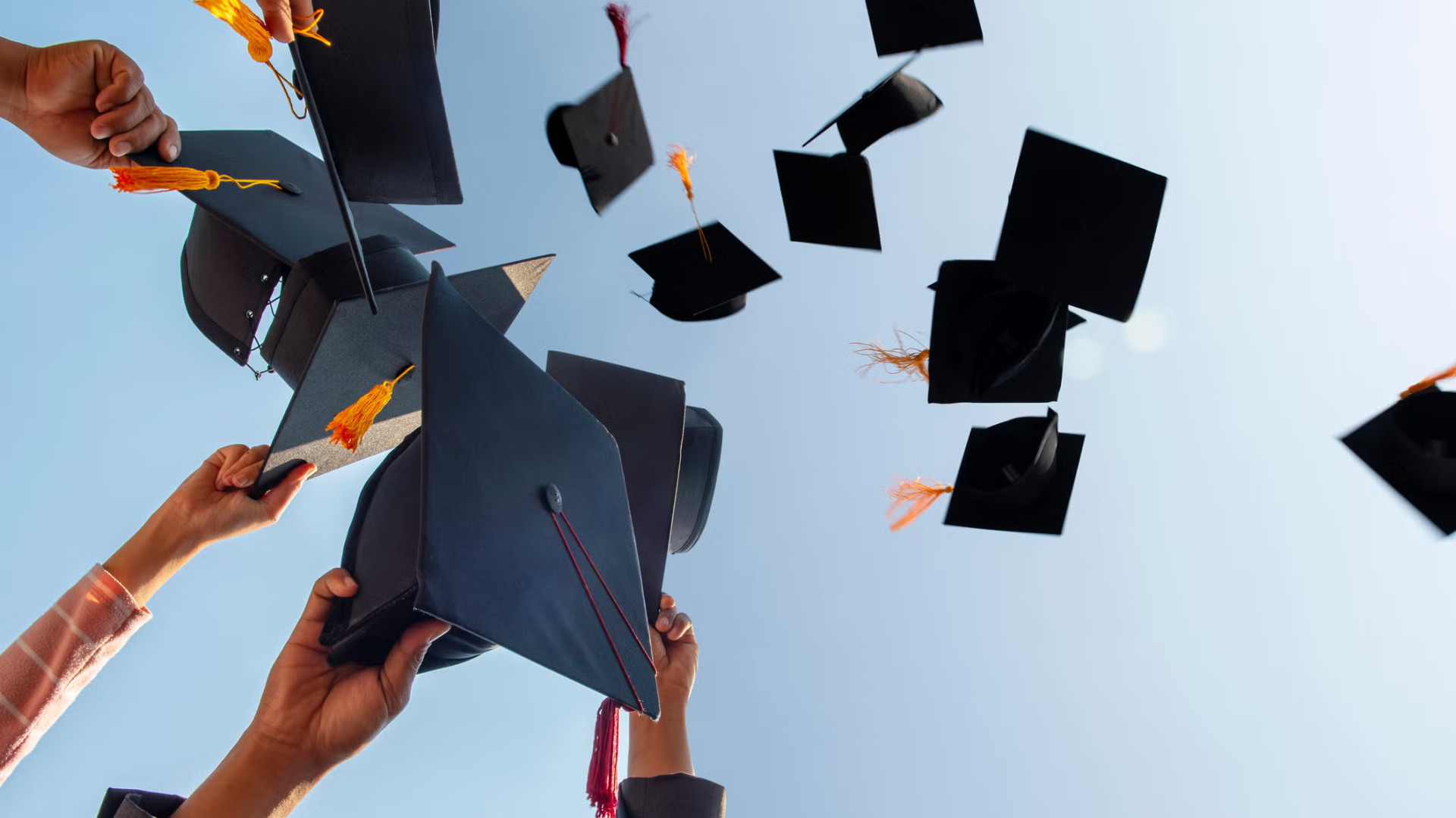 تعليم عالي في تركيا - الدرجات العلمية